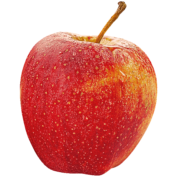 Gala